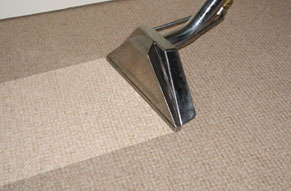 CARPET CLEANING